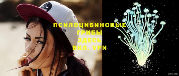 MESCALINE Лабытнанги