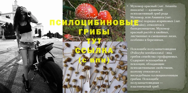 MESCALINE Лабытнанги