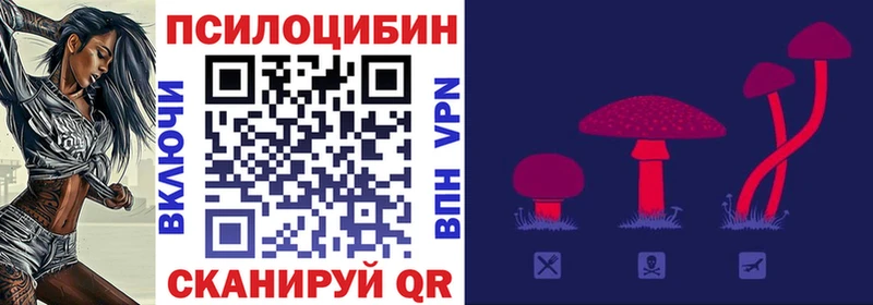 Галлюциногенные грибы Psilocybine cubensis  Купить где  Красноуральск 